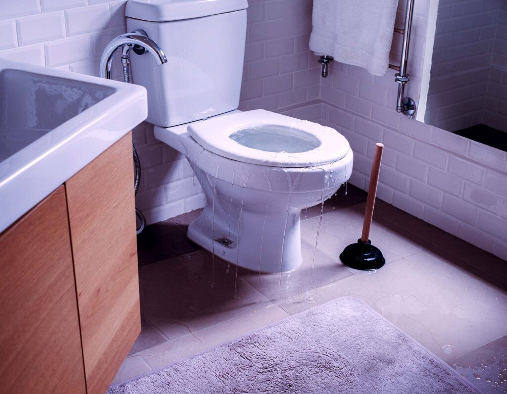 Toilet overflowing