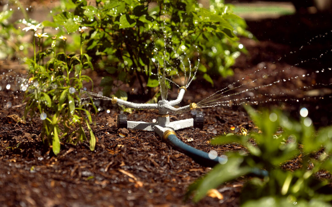 Southern California Water Conservation Regulations Every Property Owner Should Know