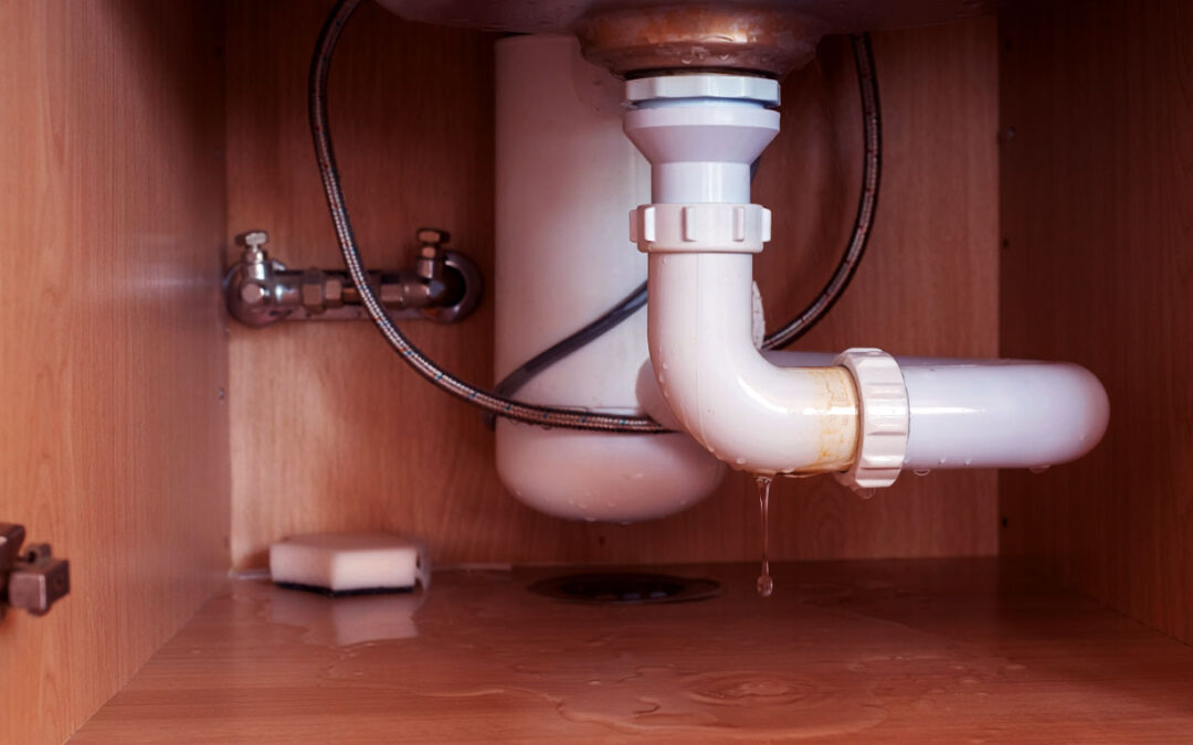 The Real Cost of Ignoring Small Plumbing Issues